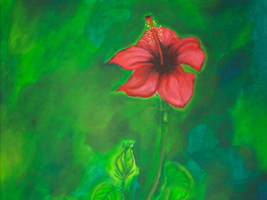 Pintura de una planta de hibisco rojo sobre un fondo verde